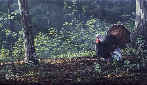 Framed June Strut Print