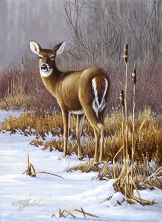 Framed On Alert Print