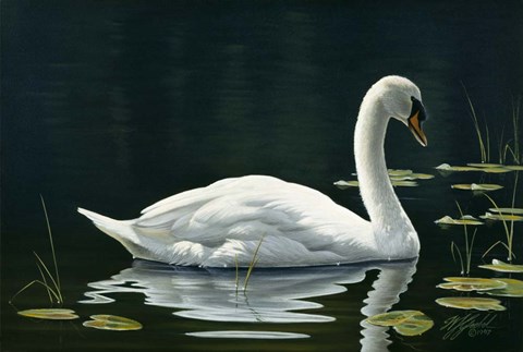 Framed Stillwater Print