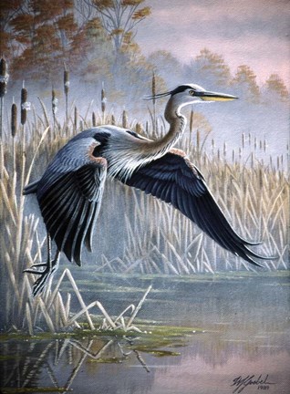 Framed Secluded Cove Print