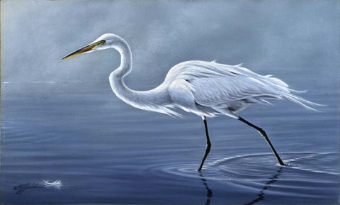 Framed Walking The Edge Print