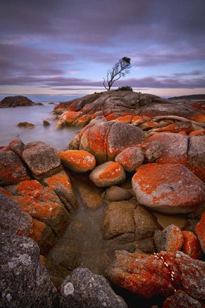 Framed Binalong Bay Print