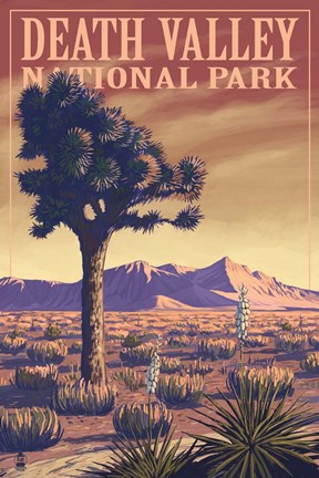Framed Death Valley Print