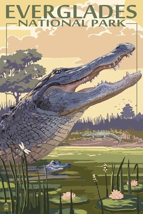 Framed Everglades 2 Print