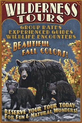 Framed Wilderness Tours Print