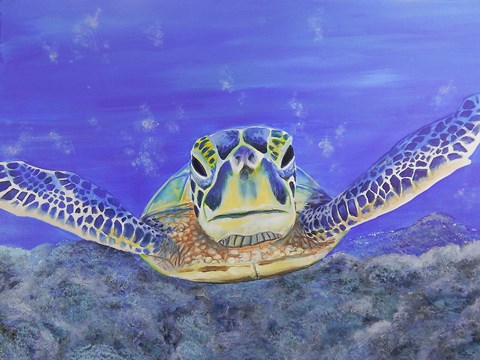 Framed Sea Turtle Print