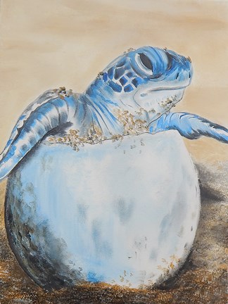 Framed Sea Turtle Hatching Print