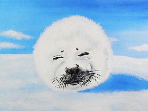 Framed Harp Seal Print
