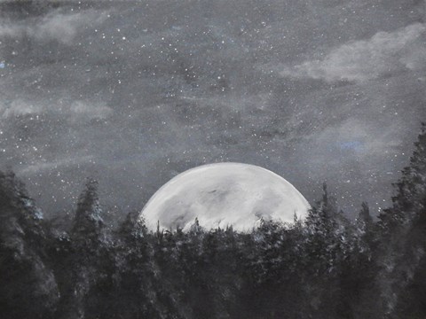 Framed Starry Night Over the Moon Print