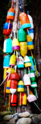 Framed Colorful Buoys Print