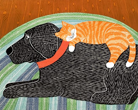 Framed Catnap Striped no Bubble Print