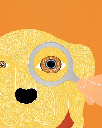 Framed Eye Exam Yellow Print