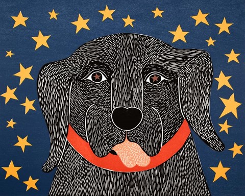 Framed I See Stars Print