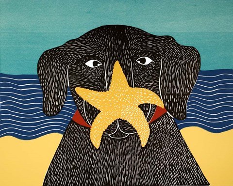 Framed Starfish Print