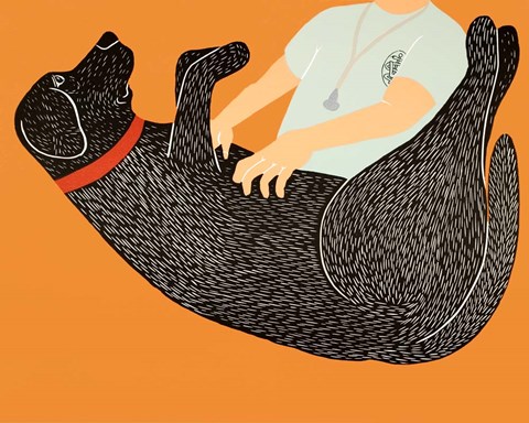 Framed Vet Exam Print