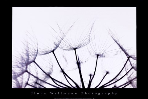 Framed Whispers - Violet Print
