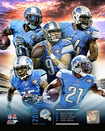 Framed Detroit Lions 2015 Team Composite Print