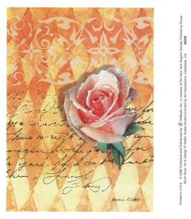 Framed Blush Rose Print