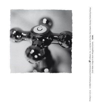 Framed Cold Water Print