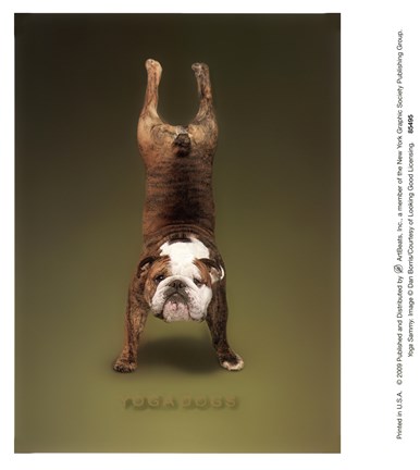 Framed Yoga Sammy Print