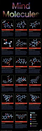 Framed Mind Molecules Print