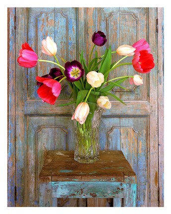 Framed Tulips, Mexico Print