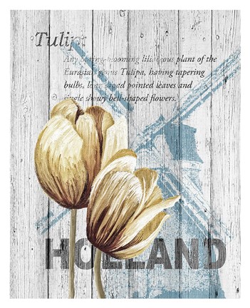 Framed Holland Tulips Print