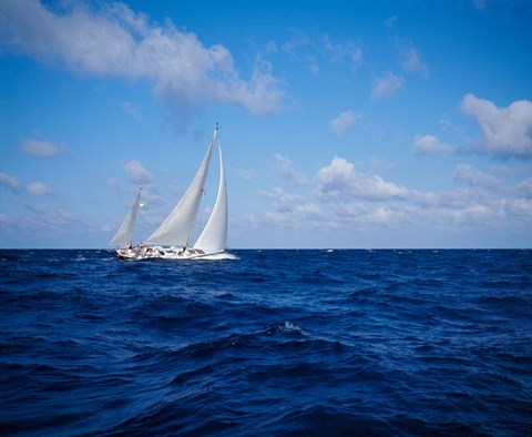 Framed Sailboat in the Bahamas Print