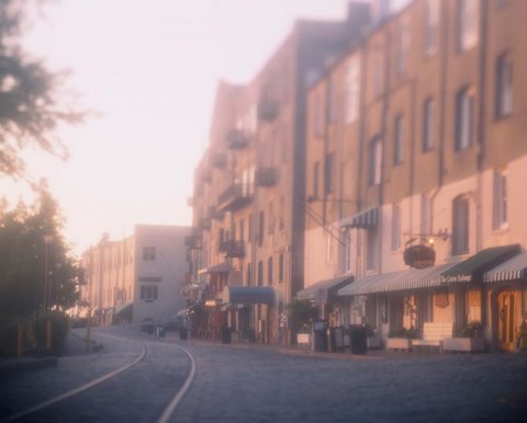 Framed Savannah, Georgia Print