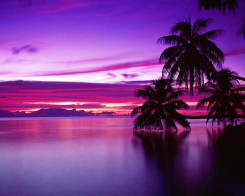 Framed South Pacific, Morea Print