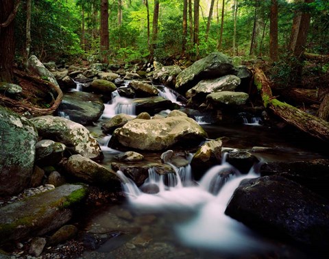 Framed LeConte Creek, Great Smoky Mountains National Park Print