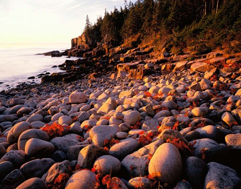 Framed Maine, Acadia National Park Print