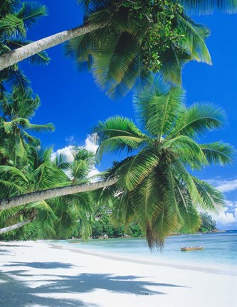 Framed Mahe Seychelles Print