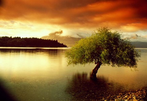 Framed South Island, New Zealand Print
