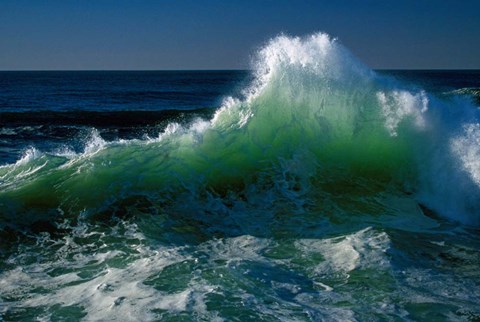 Framed Pacific Coast, Oregon Print