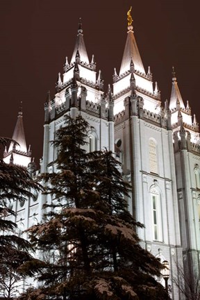 Framed Mormon Temple, Salt Lake City, Utah Print
