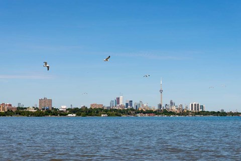 Framed Waterfront City, Toronto, Ontario, Canada Print