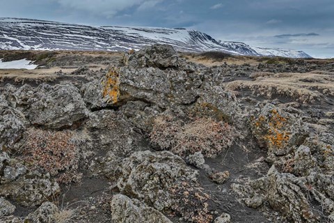 Framed Godafoss Waterfalls, Iceland Print