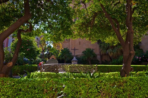 Framed Malaga's Cathedral, Malaga City, Andalucia, Spain Print