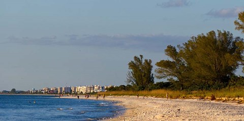 Framed Beach, Naples, Collier County, Florida Print