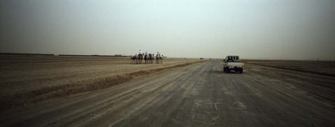 Framed United Arab Emirates Print