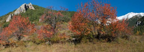 Framed French Riviera Hinterland, Alpes-de-Haute-Provence, Provence-Alpes-Cote d&#39;Azur, France Print