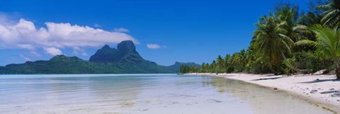 Framed Palm Trees in Bora Bora, French Polynesia Print