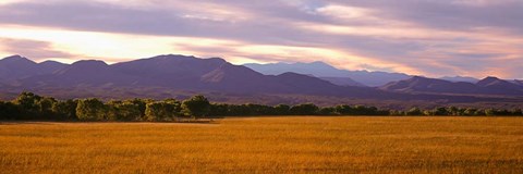 Framed Bosque Del Apache National Wildlife Refuge, New Mexico Print