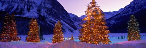 Framed Christmas Trees, Lake Louise, Alberta, Canada Print