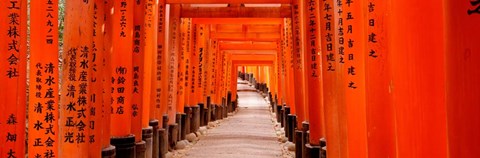 Framed Tunnel of Torii Gates, Fushimi Inari Shrine, Japan Print