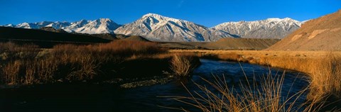Framed Owens River, CA Print