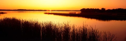 Framed Minnesota, Deer Lake Print