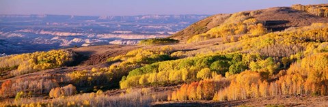 Framed Aspens Dixie National Forest, Utah Print