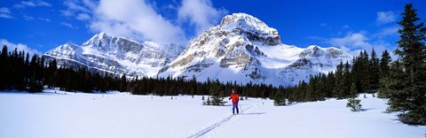 Framed Skier Ptarmigan Peak Wall of Jericho, Skoki Valley, Canada Print